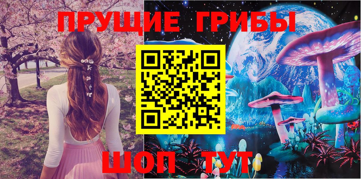 Псилоцибиновые грибы Psilocybine cubensis Вязьма